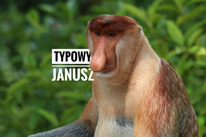 Czy typowy Janusz wie że nim jest i skąd się wzięły memy z małpą Januszem?  - Borys Specjalski