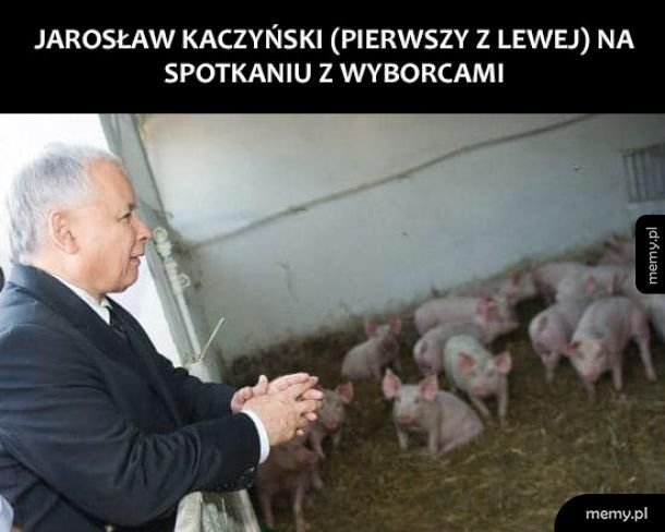 Memy Kaczyński / Kaczyński memy (#Kaczyński) - Memy.pl
