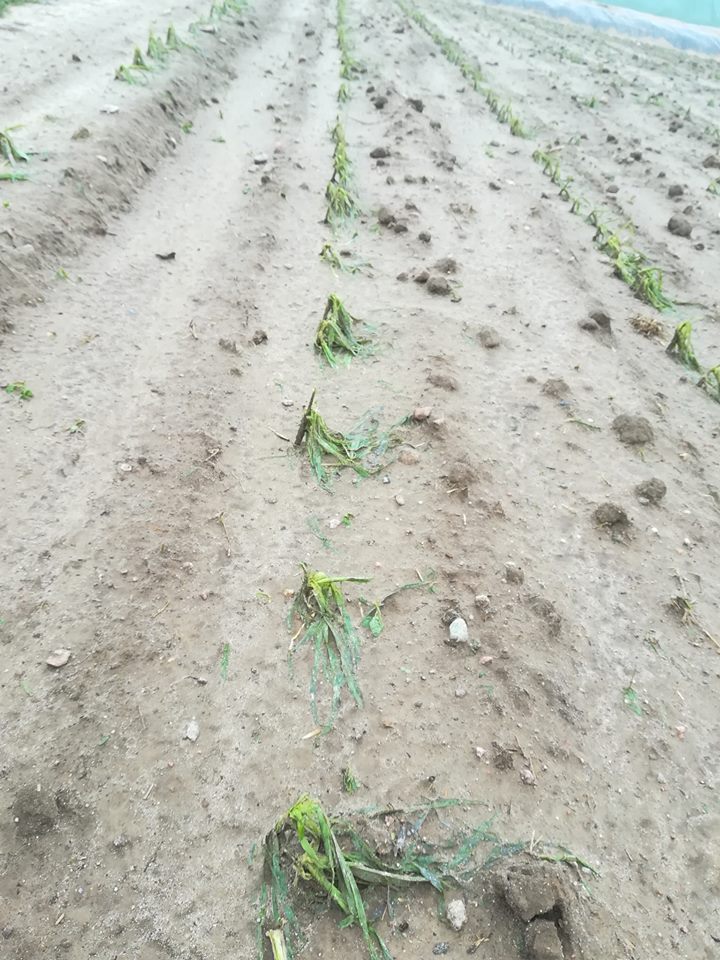 ZdjÄcie uÅ¼ytkownika MaÅgorzata Stosik.