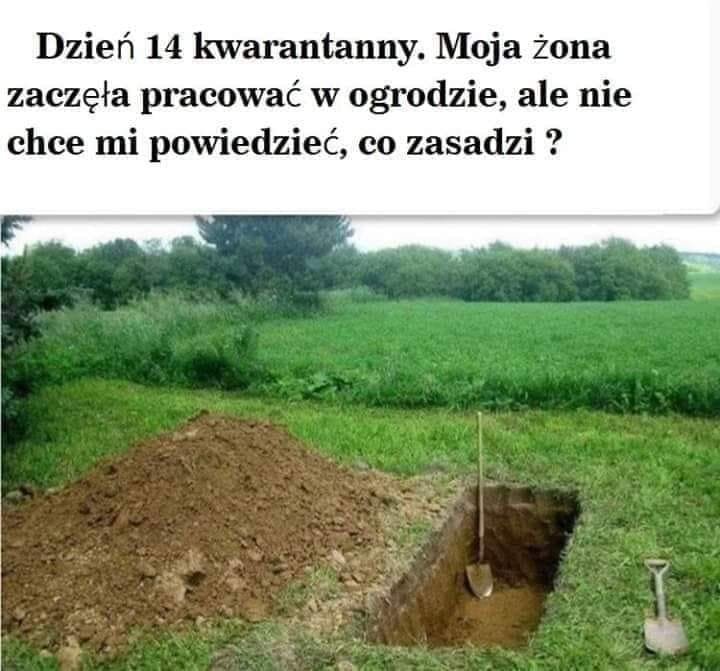 91786605_2930755690321488_44360568471195