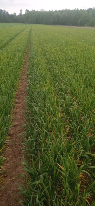 zrUytKVJqt-9GygcAX8pTC_ips88-qQkdMdltWYTbN7TUjpRS3URuEOyuJNixjcJj1DYB1rvs08oNqsu6NQIzehjBBV2RDAMF7MNa6MDH_57-YFRWloACy84rEr8sOUT8-pxFHXc4fCZ0VVxfeVg69fQUrhEjAJKgoUIeKbOWjznR0HtTyE_8L1lLeDoaZKJVk3XQEFNse2HIX1a8aKZ_5soV48QJhn2QhLyzbClh0L0ppY8l9vsiKPBlHKiGea2X20U9X8jCkgAf2jtTGluWm0t34M7Ui7Hrbeu8l2Q-p4TOSg3XIlakLaSEI1NEDk3JmdhG9C5-TUUvY2X__NeaQkJhhjqFeRDCtGOloAwaILWMxwc46_Vn0Vuub15472R1FCav41mZdj_HJ8naRx5pQsOJJWMdrK0HvougDS4UX_ijRgli-JKllKiZhOSw1DVfQKHjbXxYazSJN-p9EUZHydVIGdPIxY_uqor1JUOkKdpNZh8w1H-W_gREELwbVTe4VUBNGAIgFROw8NqKY_PHFrfb4GdLDreS1sfpxxntP6oQTxZaJBMu8H69pRVB3HEfPc970l45tPR78zzcFK4s_Oq2o2yREmtn4JxxwRqc3oAOHPq4K09wYPEDU_U0hXjRxqu7jVn9cJ345rVb4G2G1qWA8UJJe6qfKbpq7YmDkkFmjbpYcXLgBhFxPrnjL5Twll33szla7MeASILjM-tzU94oIqP9xxJgf7aHOKEAmzqReSiv8SkqVKpr-mL4o-9MWJ5TFtqp6zTU-3jfeYVt4ir79yIoN8zj_Q8NKd5LrsvyYGvZGz6xuIS5ayp0tOZsgz4MyRdSAMv0L4P0h6hr_5kt5dtjzdfvAByariKQqjuSm70-UA7Qrhn3Vx0t8LvetsHs-k8aBWCQlr-8xfLunH48FIoIb3GR4n4-D8RDWe205VY=w401-h868-s-no?authuser=0