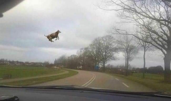 Może być zdjęciem przedstawiającym na świeżym powietrzu