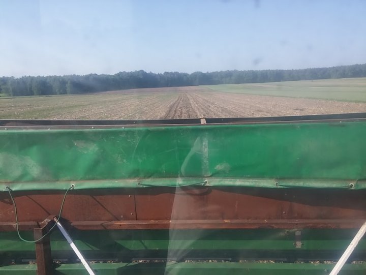 wW4pxvE_Tt-SCjJexTYVpIApFxUL7vfET4qiY9F3