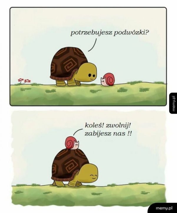 Zabójcze prędkości