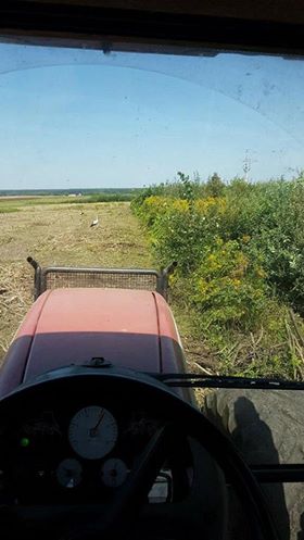 38749824_2010219899010606_21131490652554