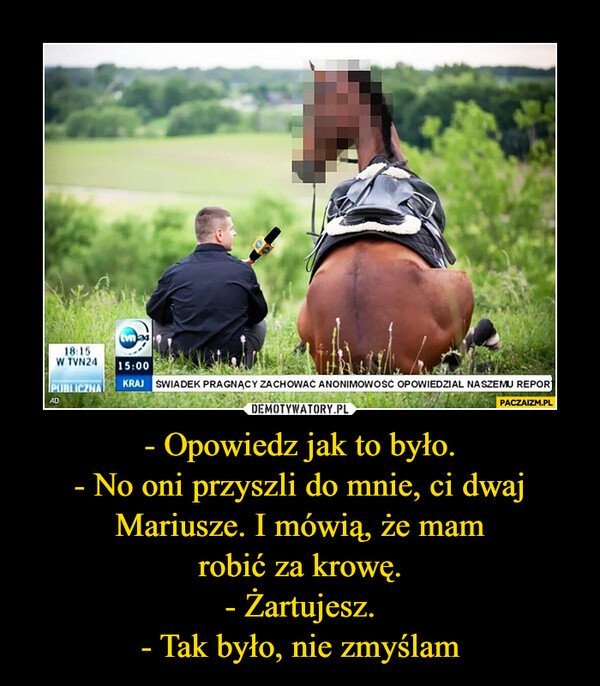 - Opowiedz jak to było.- No oni przyszli do mnie, ci dwaj Mariusze. I mówią, że mamrobić za krowę.- Żartujesz.- Tak było, nie zmyślam –