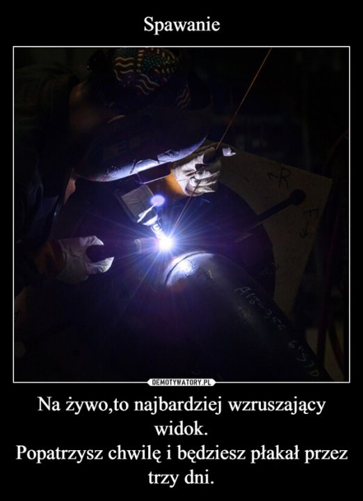 Na żywo,to najbardziej wzruszający widok.Popatrzysz chwilę i będziesz płakał przez trzy dni. –