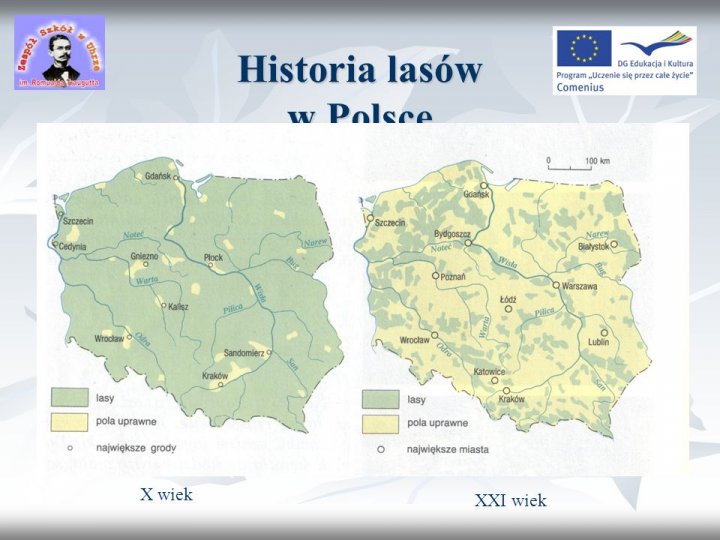 Powierzchnia lasów w Polsce - ppt video online pobierz