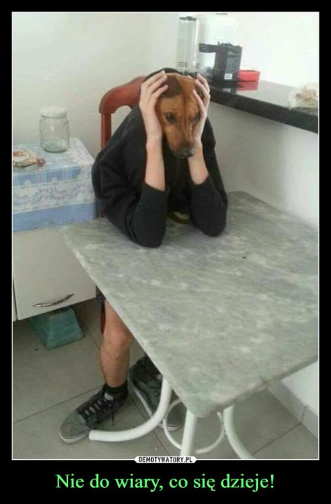 Nie do wiary, co się dzieje! –