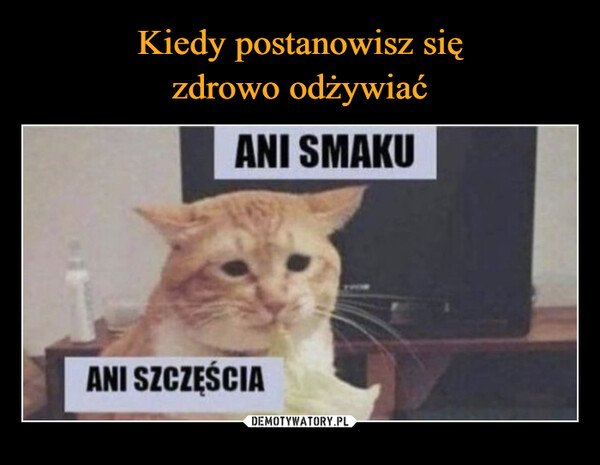 –  ANI SMAKUANI SZCZĘŚCIA
