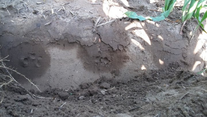 JIIk90_w2TghkdjS7M5vivX8sIn01v81mw6zWmBO