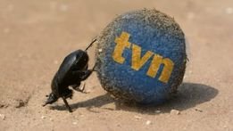 327443494_900388527979894_41701663705029