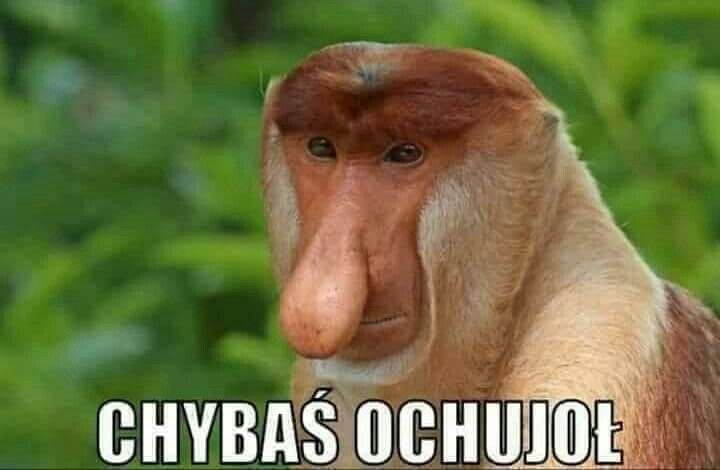 Pin on Nosacze Polskości