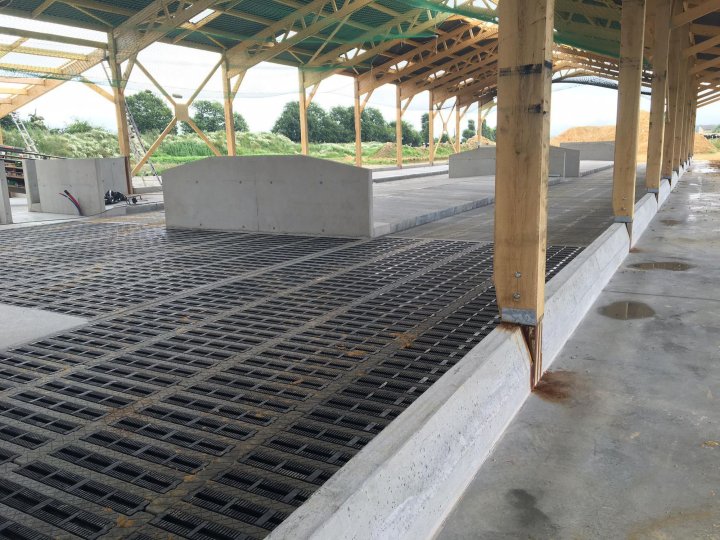 Concrete floor panel - ECO-FLOOR - andersbeton - for cow breeding