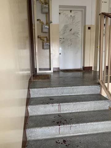 294383650_1727258917612492_4220808796499