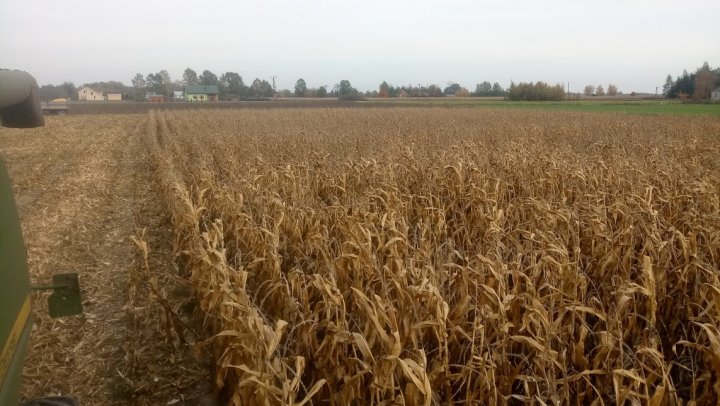 tU5iDXA8sNYLCPFECt17sgS_s5FvJpFStqv--y7C