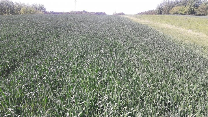 LBqjSPzbBT-mD_0MF4B9kn3N1Em7zj2NB7DiqTXR_zBDQJMgcBBJzj8eL3DMUAf6yUbT9oxoLyQTR5a5tSre7LnqHFxjCN7xi0vQ3AkzpETO26GpcWOgDppdSVGrXTWiAxoqdoeQK6TdmZcH8vjYMez2Vs7c-NflTJG3lSWv4WPL1qvYQK-k2D40_l6riLtnn1TfxlX5iDLRp7KnrwWlTeUZhEVA6HkCdkWGrZEGPR0LbVh42cUKKTDpcFVj7wf1Ibi0i_heTL190uwedhDIpXijc-TBntmeHKHey1zGJLAHlPpznRR2boo9jFMcVePPGiQ2hCNTiNc_F4YBjMxmyAQBteMreARc-LRONpt9UW3kq22c3IeBLAXJ0HgYEjElCWx2WjugaRqeXd4v9X2xN2Snl1tem6ke2OXshfbh5l8UICF9M5c4nbe1gpOYnczIHoa87LhHKgF9fn0c-nC-rlDFG0Pvczsx_Zfvvai7GGGqOfPmI6cahTcflj6QKkyj9JGmJpiqTO92gCMqDGuk1TcL0X7TrGtIpJqlJhBe4UPFqy3S0Q6Y_I3mxrOKEsQOSlT6xvkAY6g2hk2s2EOIGZQqG0Luo8btY-1n8BbJNEkwXEf9j2kh9s0rP5paRSC80ZLbV6PIllyGY4JfnkOTO3UZPMyJr3SN1scy2mCxnMONxCt87oWvR2dh1Ouk2g=w1280-h720-no?authuser=0