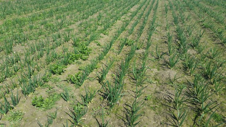 AJFCJaWsHERtS8sk2gbDcKi0RQ0KlLfHDcfiuRyH