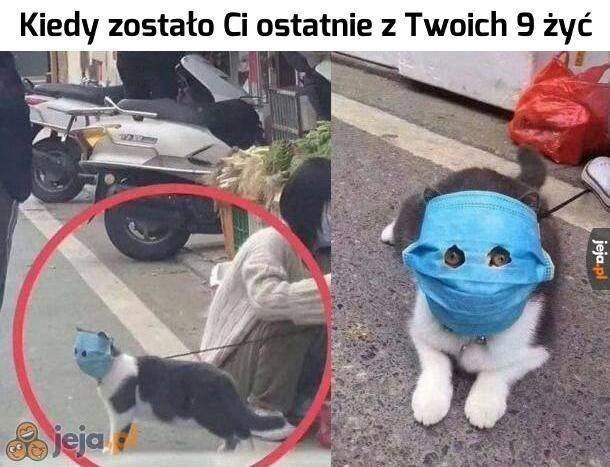 Koronawirus oczami internautów. Zobacz memy, które oswajają groźnego wirusa.Zobacz kolejne zdjęcia. Przesuwaj zdjęcia w prawo - naciśnij strzałkę lub