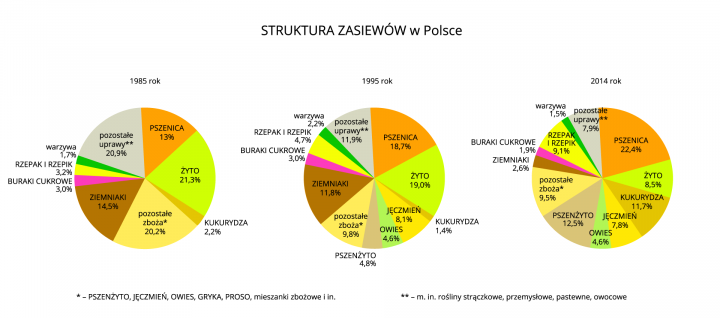 Na ilustracji trzy diagramy kołowe – struktura zasiewów w Polsce w latach 1985, 1995, 2014.Pierwszy diagram: uprawa1985pszenica13,0% żyto21,3% kukurydza2,2% pozostałe zboża20,2% ziemniaki14,5% buraki cukrowe3,0% rzepak i rzepik3,2% warzywa1,7% pozostałe uprawy20,9% Drugi diagram: uprawa1995pszenica18,7% żyto19,0% kukurydza1,4% jęczmień8,1% owies4,6% pszenżyto4,8% pozostałe zboża9,8% ziemniaki11,8% buraki cukrowe3,0% rzepak i rzepik4,7% warzywa2,2% pozostałe uprawy11,9%  Trzeci diagram: uprawa2014pszenica22,4% żyto8,5% kukurydza11,7% jęczmień7,8% owies4,6% pszenżyto12,5% pozostałe zboża9,5% ziemniaki2,6% buraki cukrowe1,9% rzepak i rzepik9,1% warzywa1,5% pozostałe uprawy7,9%