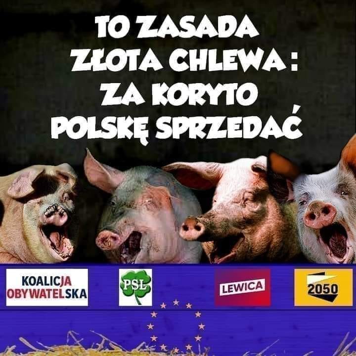 152226288_2881505265464296_5941525563571