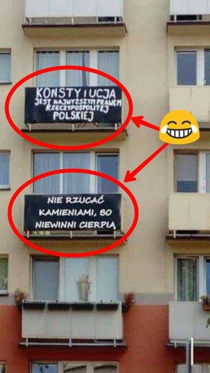 39958832_1801025943338501_45263532431182