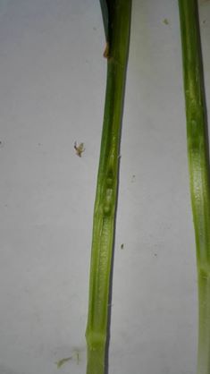 Zdjęcie użytkownika Grzegorz Ulejczyk.