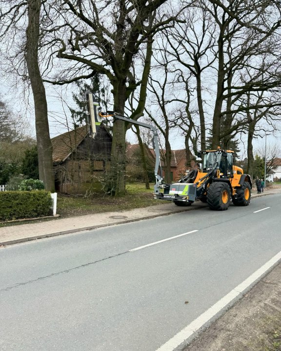 Może być zdjęciem przedstawiającym droga, drzewo i trawa