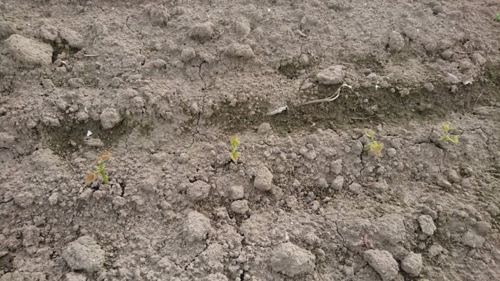 kBy08scHtT4XzSC4HIPMuPolx5ap6gnqp6CPzOnf