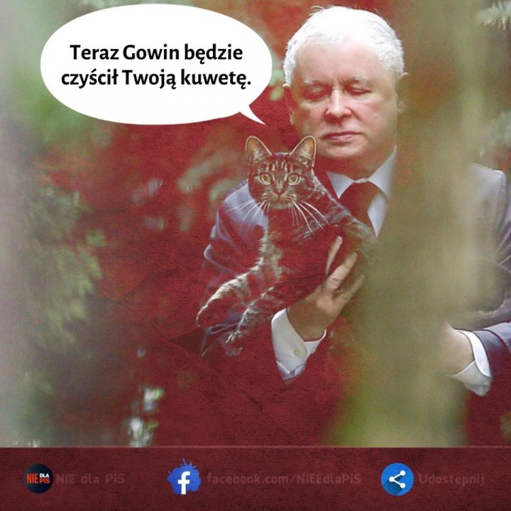 96094442_1160087837657957_13920537903156