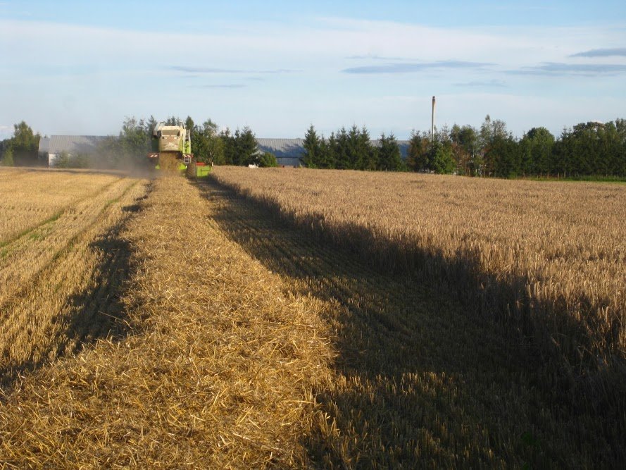 uedroSv0VFnlcT9jPHFRB8tLhTS_EQyFO7yuubRr