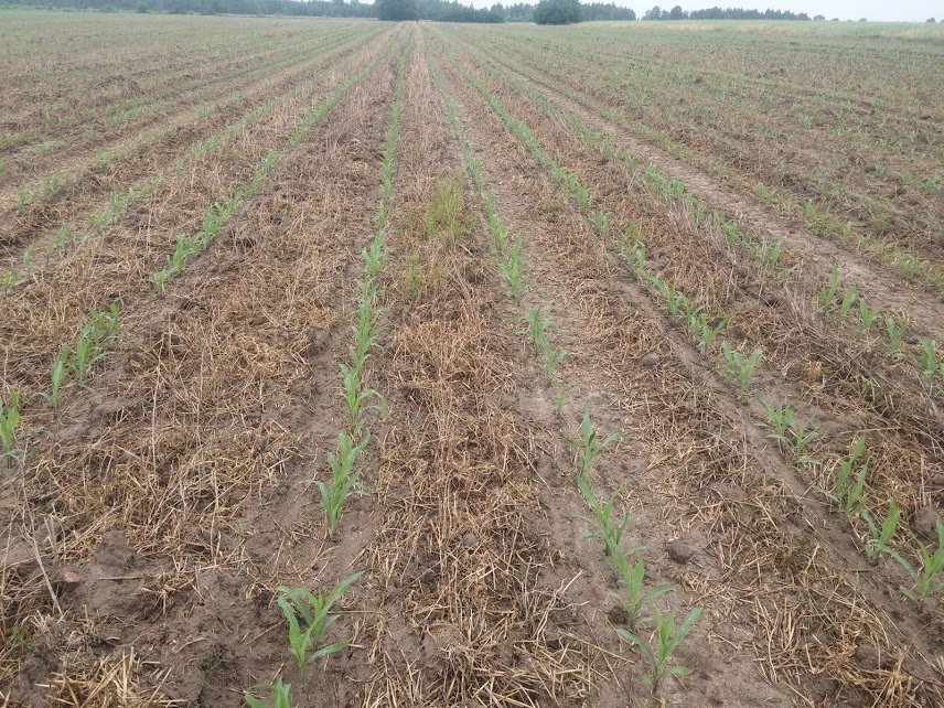 zEgd9ff_I4jEHWd1hwMH0PvZf2M6nxVyZxejLfuM