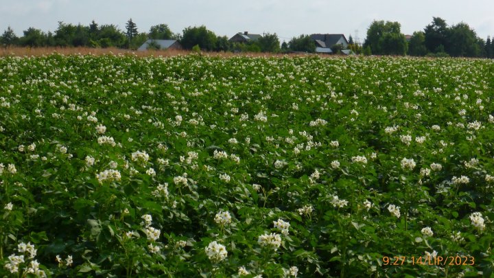 AIL4fc__SC2Y7cv0N10QNaCO8WcfM4dJDbwCQOUJ