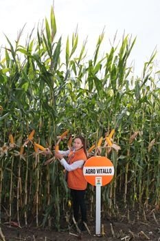 MyRHfVK-N61zL2rOZuVfjOV3L2HE50JZzGWPHNsB