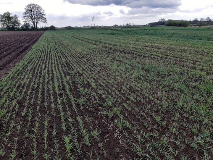 Lvklm3kLfSbVUSgXwbFOYm8zPeUYiKGKn53cQiJ5