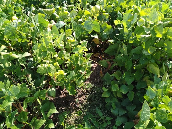 KO47f3NkyB9dxS79PBmEbP1RrrXwjC5wQVqIDyF3