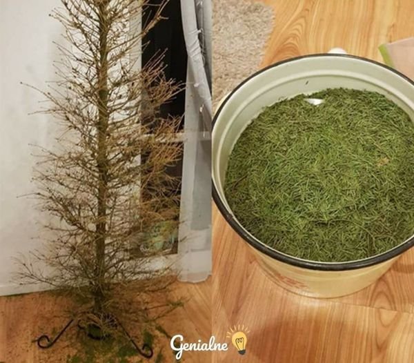 Może być zdjęciem przedstawiającym w budynku i tekst „Genialne”