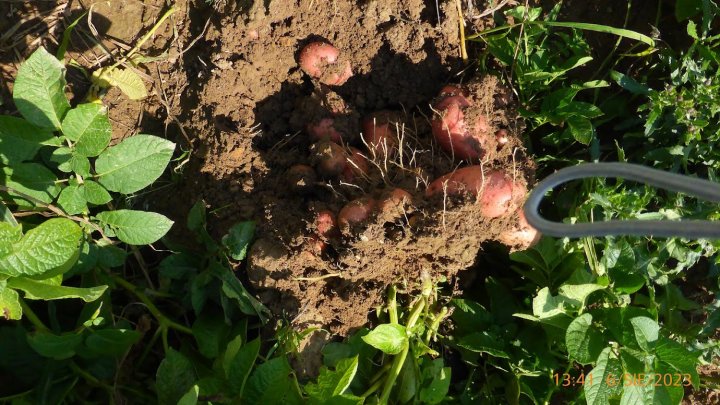 AIL4fc-HgJ5VL_spwXM_93p1PX0nZQ8PCqoYNBs4