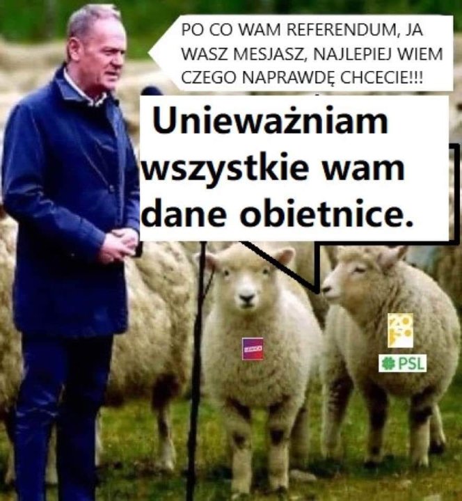Może być zdjęciem przedstawiającym 1 osoba i tekst „PO cO WAM REFERENDUM, JA WASZ MESJASZ, NAJLEPIEJ WIEM CZEGO NAPRAWDĘ CHCECIE!!! Unieważniam wszystkie wam dane obietnice. ಕணO PSL”