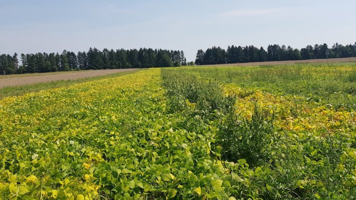 AJFCJaX2gACtEPsrqq3t-dVbfHa2_x4aWr7uSSoU