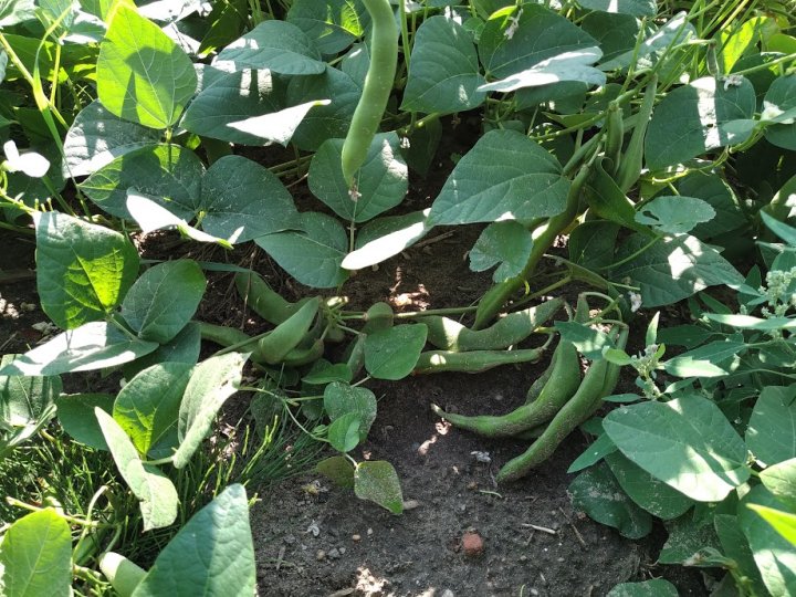 bDybNX-frqQAdbU6nILWBbaPb90dYodaqgYrvo66