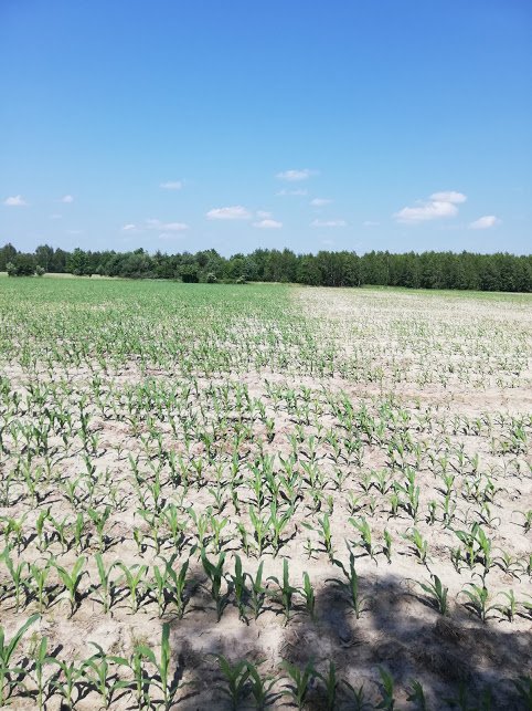 5B3HDWUvuGWLhV17xzXFH5_J6Q5niK45cYre_z3U