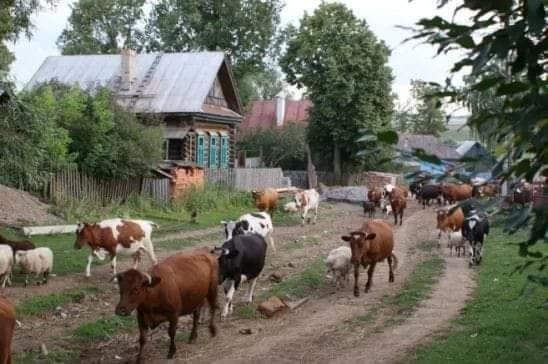 Może być zdjęciem przedstawiającym na świeżym powietrzu