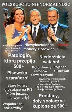 380 Platforma Obywatelska ideas | polityka, śmieszne, memy
