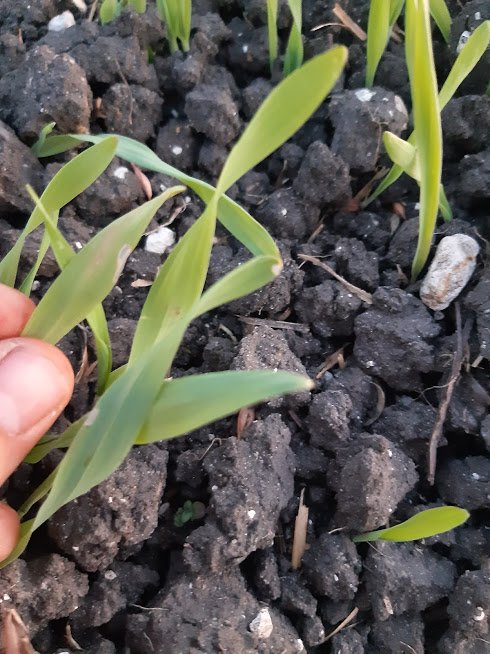 9ypi2OWJ6L_lPLLB5XNj3Z2L5Uo8v7Lhv8sqamjj