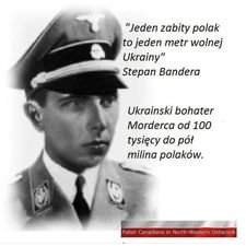 294029945_143177921660465_78945010399040