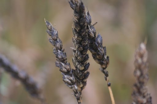 lys-aZZmZv18x9aaP_kTzGSaA38Jw76vmyRPOrn2