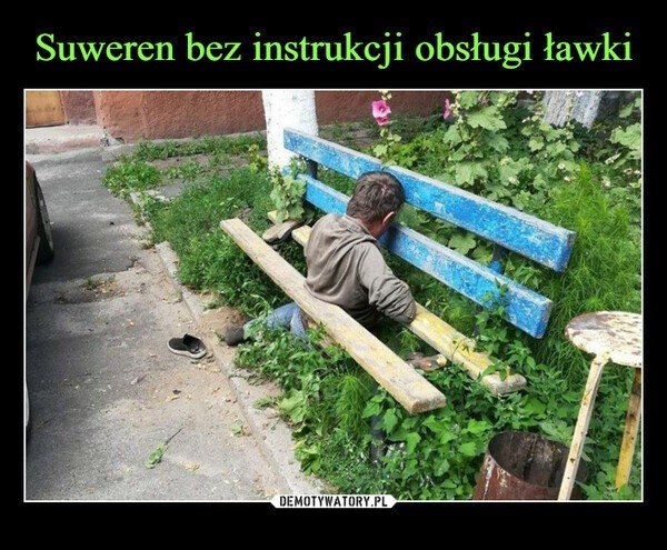 Może być zdjęciem przedstawiającym 1 osoba, drzewo, na świeżym powietrzu i tekst „Suweren bez instrukcji obsługi ławki DEMOTYWATORY.PL DEMOT”