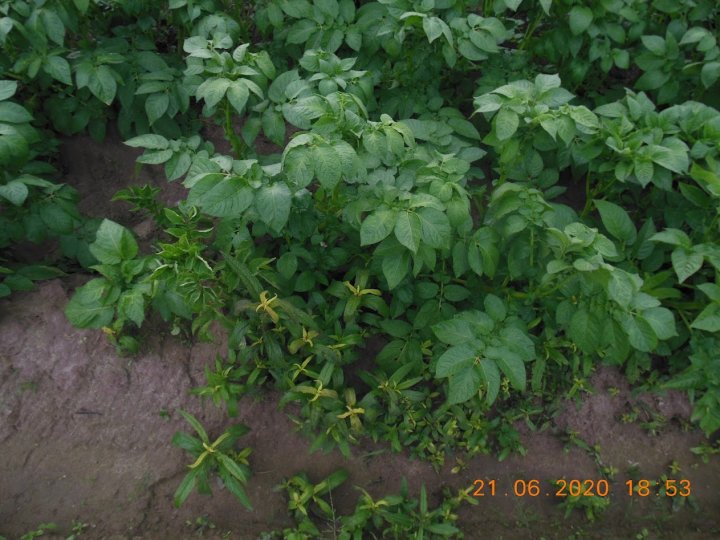 AJFCJaXpYWEjLu0SspxWRJHeDfxGhOIuFPQ4blHn