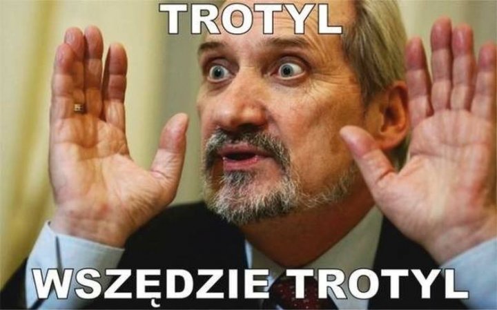 5a4656bf5d1de_p.jpg?1514738816